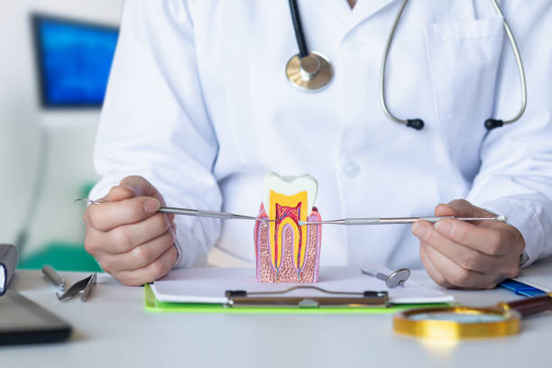 Best Pediatric Emergency Dentist in Ontonagon, MI